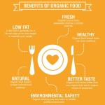 How to Start Your Organic Lifestyle Journey with OZBD Warehouse